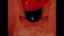 Web site image