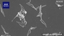 Web site image