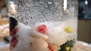 Web site image