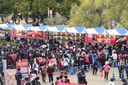 Web site image