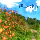 Web site image