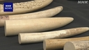 Web site image