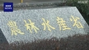 Web site image