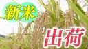 Web site image