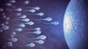 Web site image