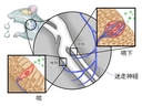 Web site image