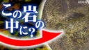 Web site image