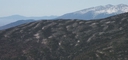 Web site image