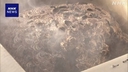 Web site image