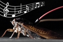 Web site image