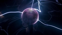 Web site image