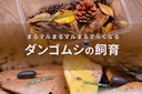 Web site image