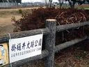 Web site image