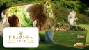 Web site image