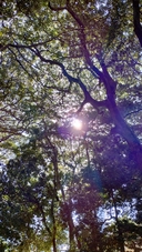 Web site image