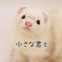 Web site image