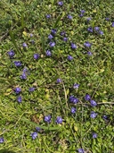 Web site image
