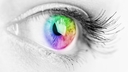 Web site image
