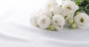 Web site image