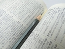 Web site image