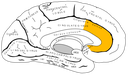 Web site image