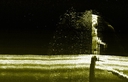 Web site image