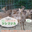 Web site image