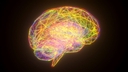 Web site image