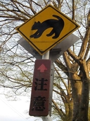 Web site image