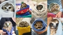 Web site image