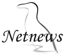 Web site image