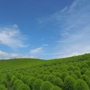 Web site image