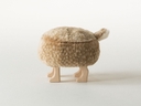 Web site image