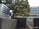 Web site image