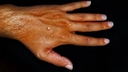 Web site image