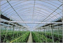 Web site image