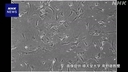 Web site image