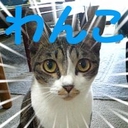 Web site image