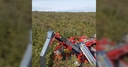 Web site image