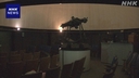 Web site image