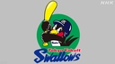 Web site image
