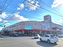 Web site image