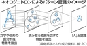 Web site image