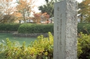 Web site image
