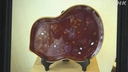 Web site image