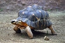 Web site image