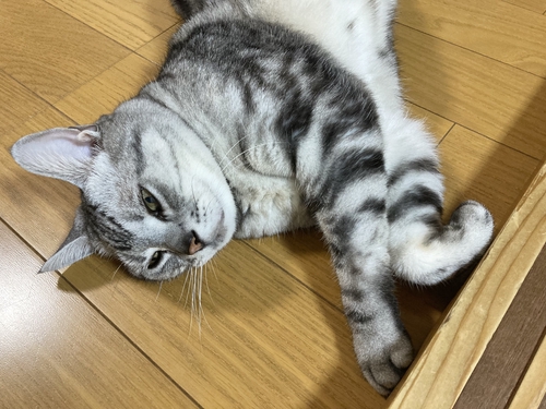 Attach image
