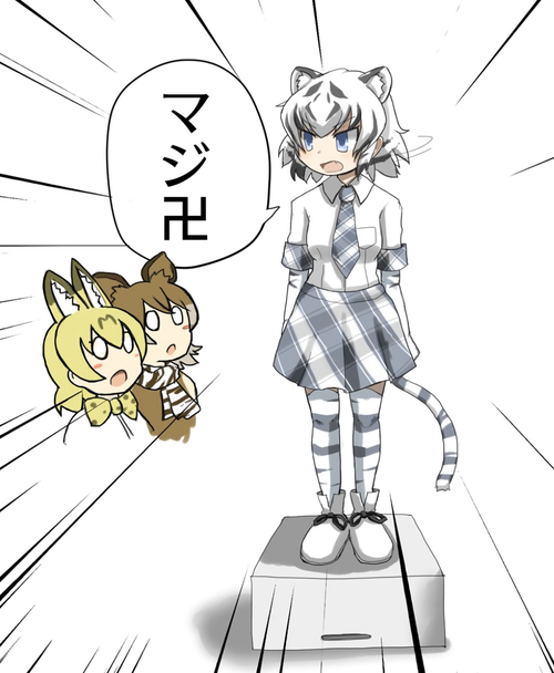 Attach image