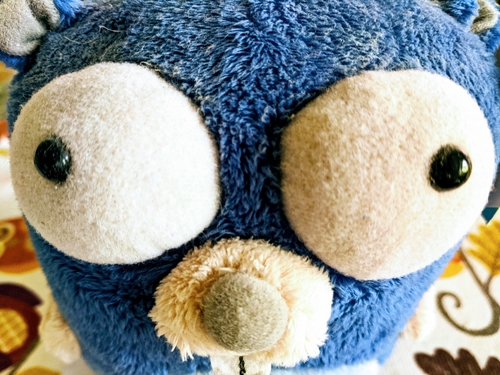 Attach image