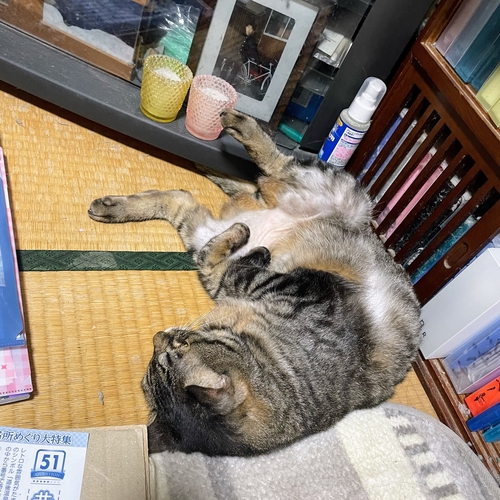 Attach image